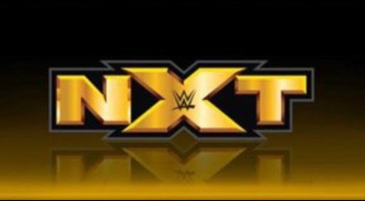 WWE NXT 22 October (2020) WEBRip English 480p [ 350MB ] download